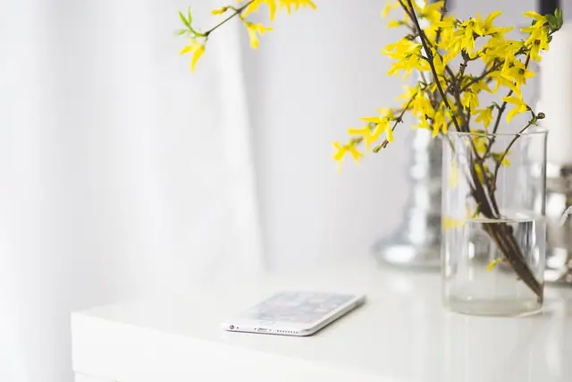 Essential Tips for Creating a Seamless Mobile Workspace