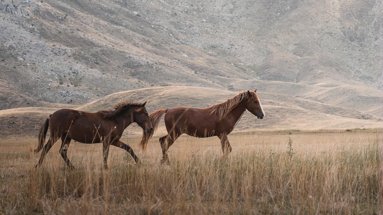 How to Responsibly Dispose of Your Old Mobile Phone