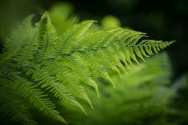 Essential Tips for Embracing a Sustainable Mobile Lifestyle